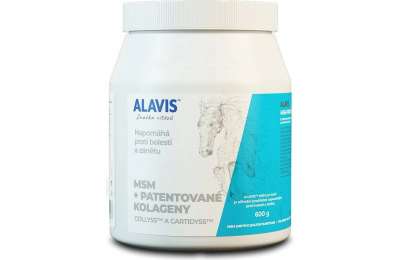 ALAVIS MSM for horses, 600 g
